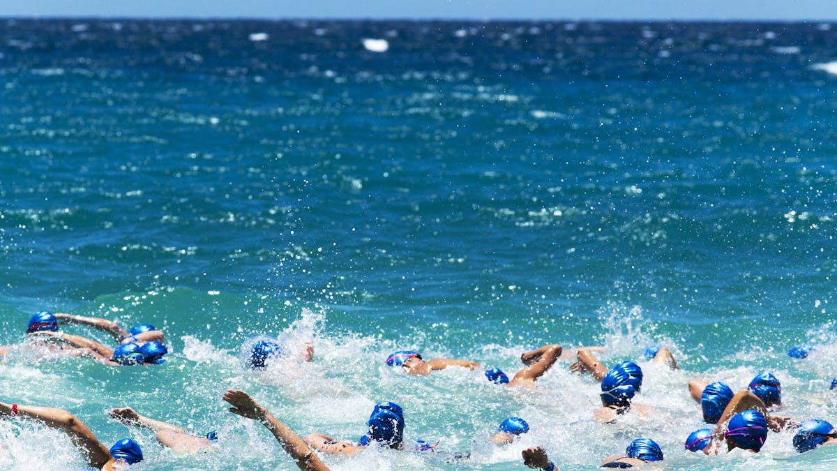Hamilton Island - Whitehaven Beach Ocean Swim