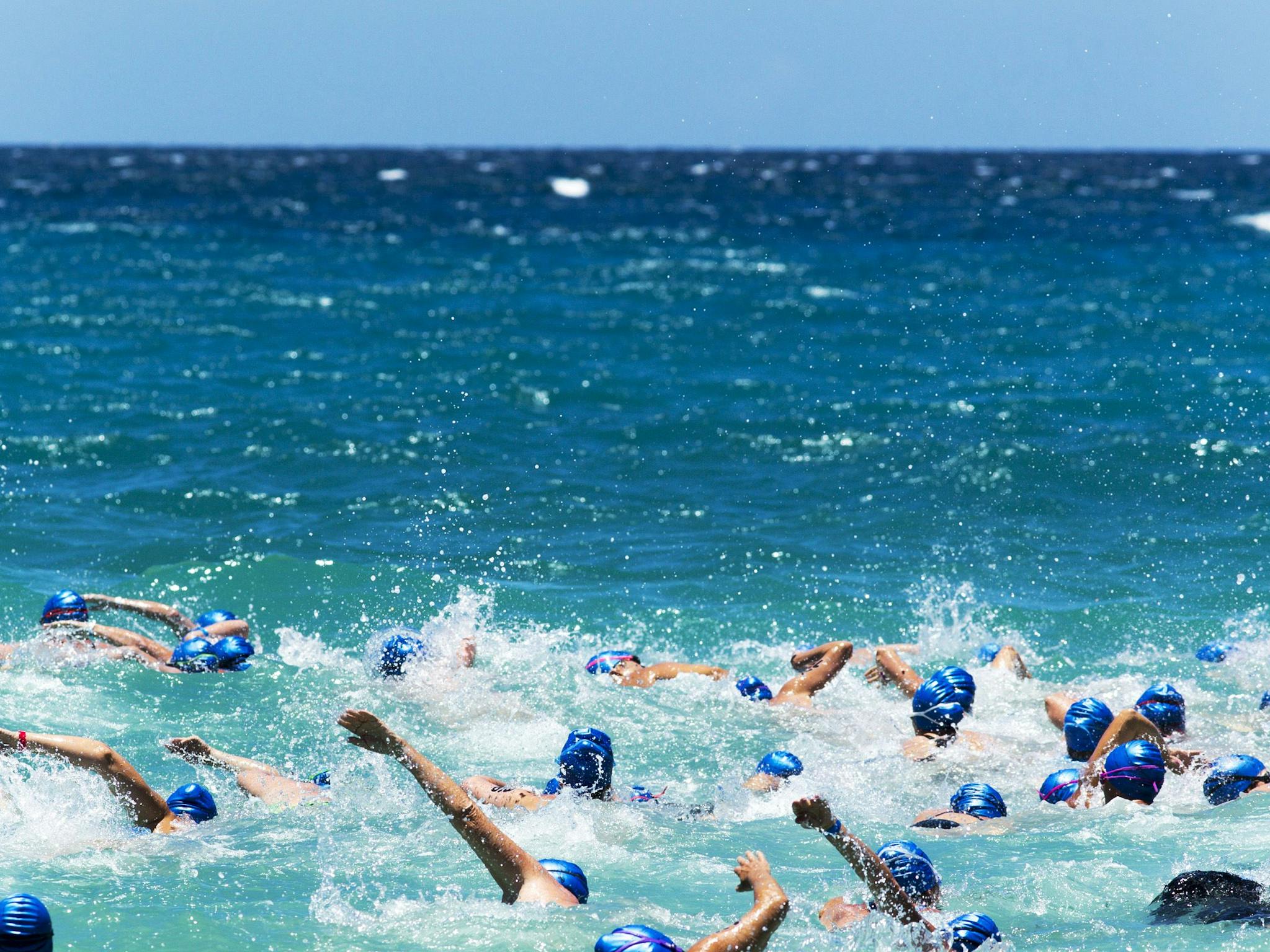 Hamilton Island - Whitehaven Beach Ocean Swim Hamilton Island - Whitehaven Beach Ocean Swim