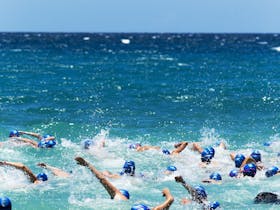 Hamilton Island Endurance Series - Hamilton Island Ocean Swim Cover Image