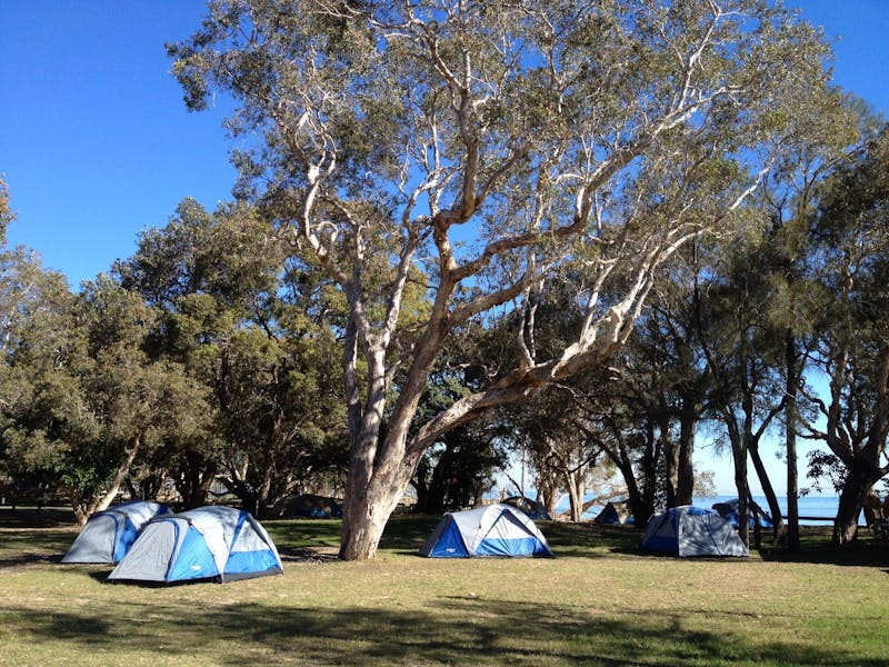 Amity Point Campground Unpowered Campsites - Straddie Camping