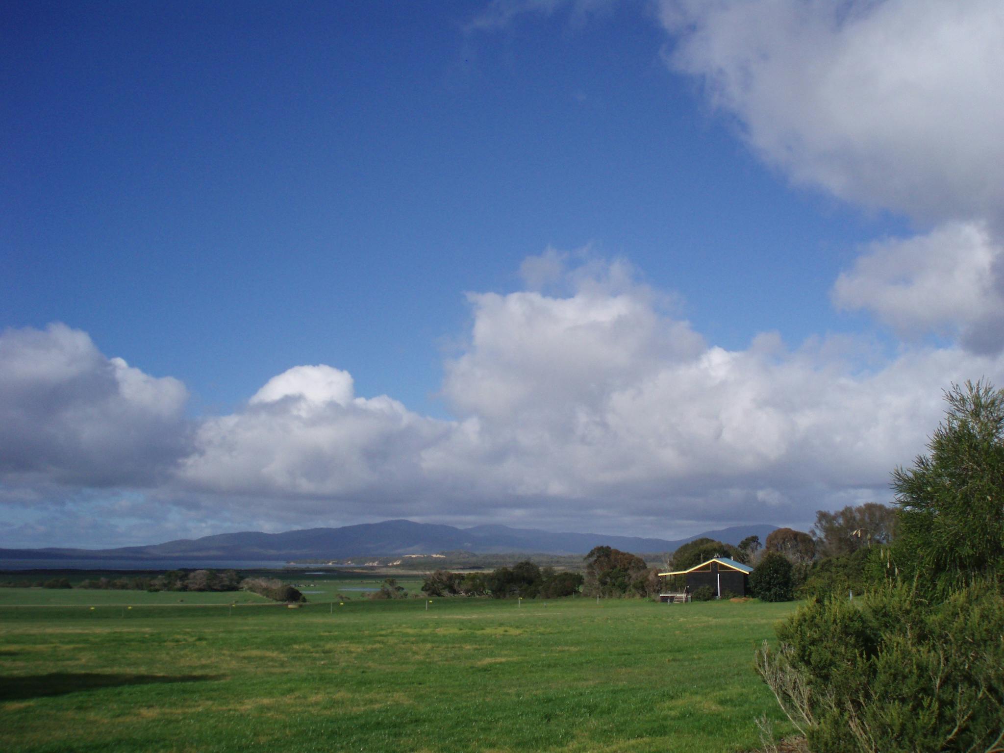 Black Cockatoo Studio