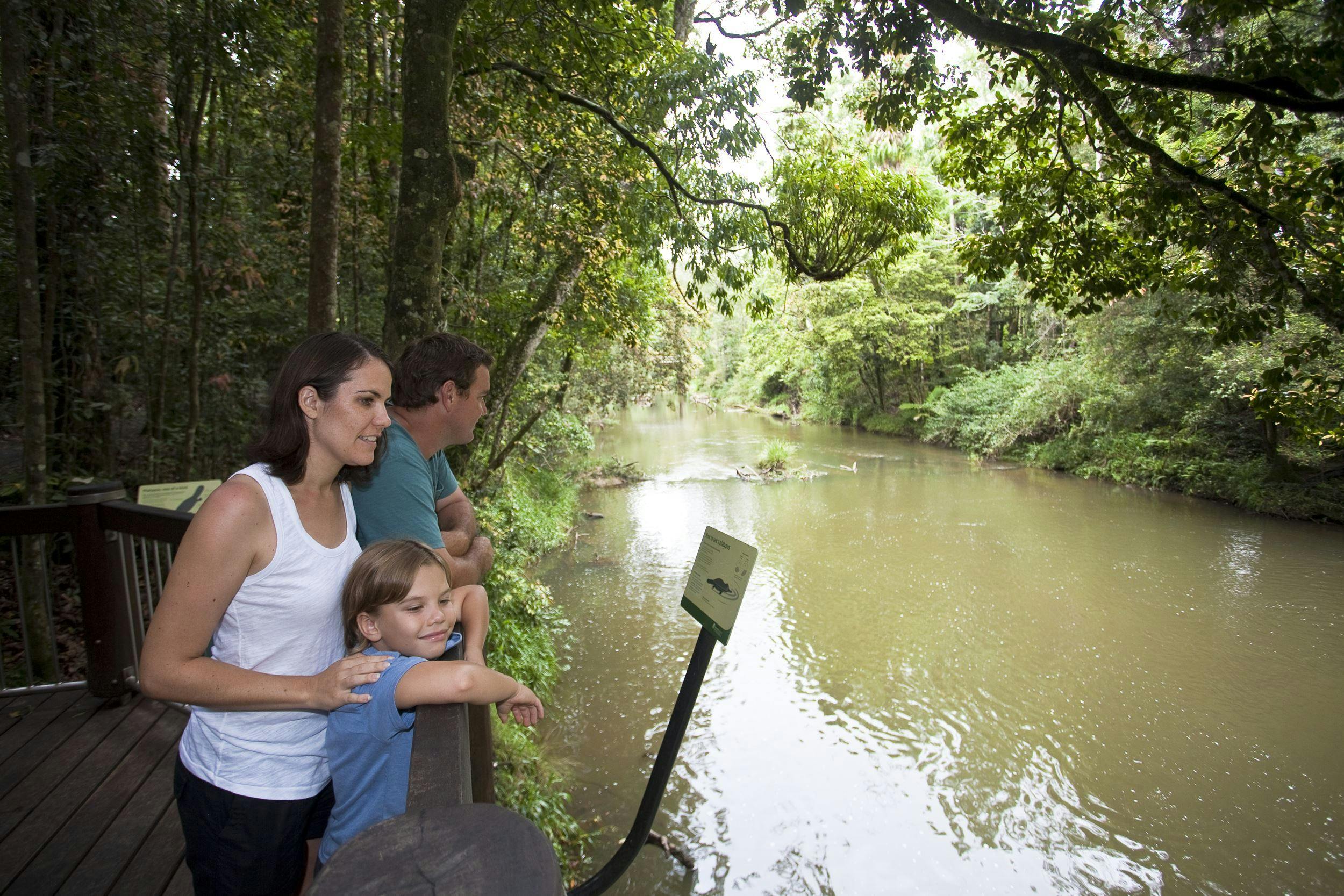 Platypus Viewing at Broken River