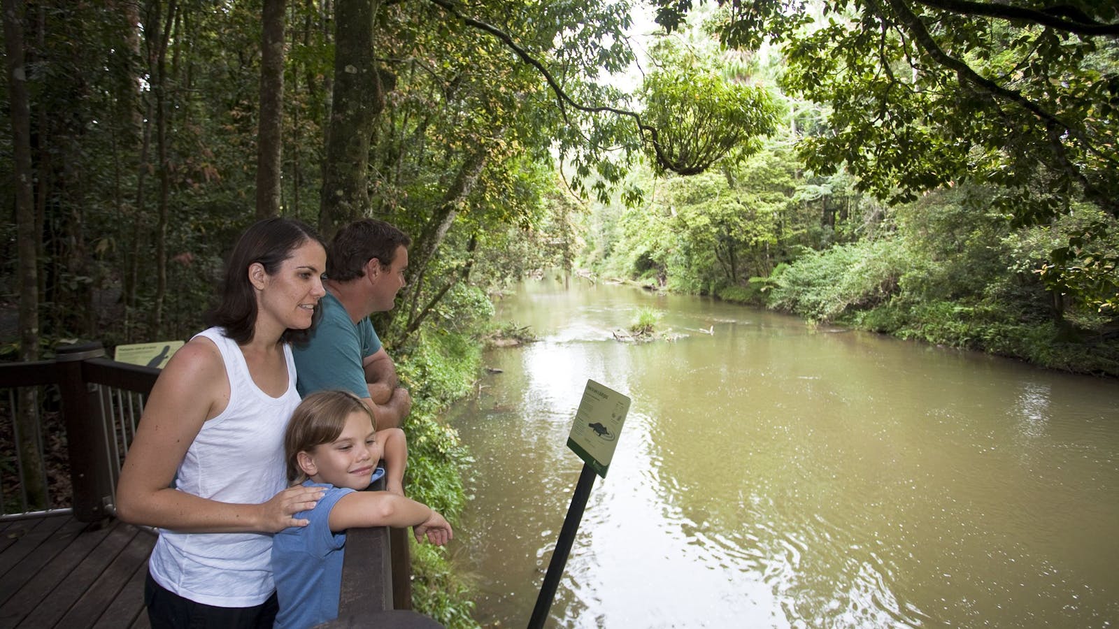 Platypus Viewing at Broken River