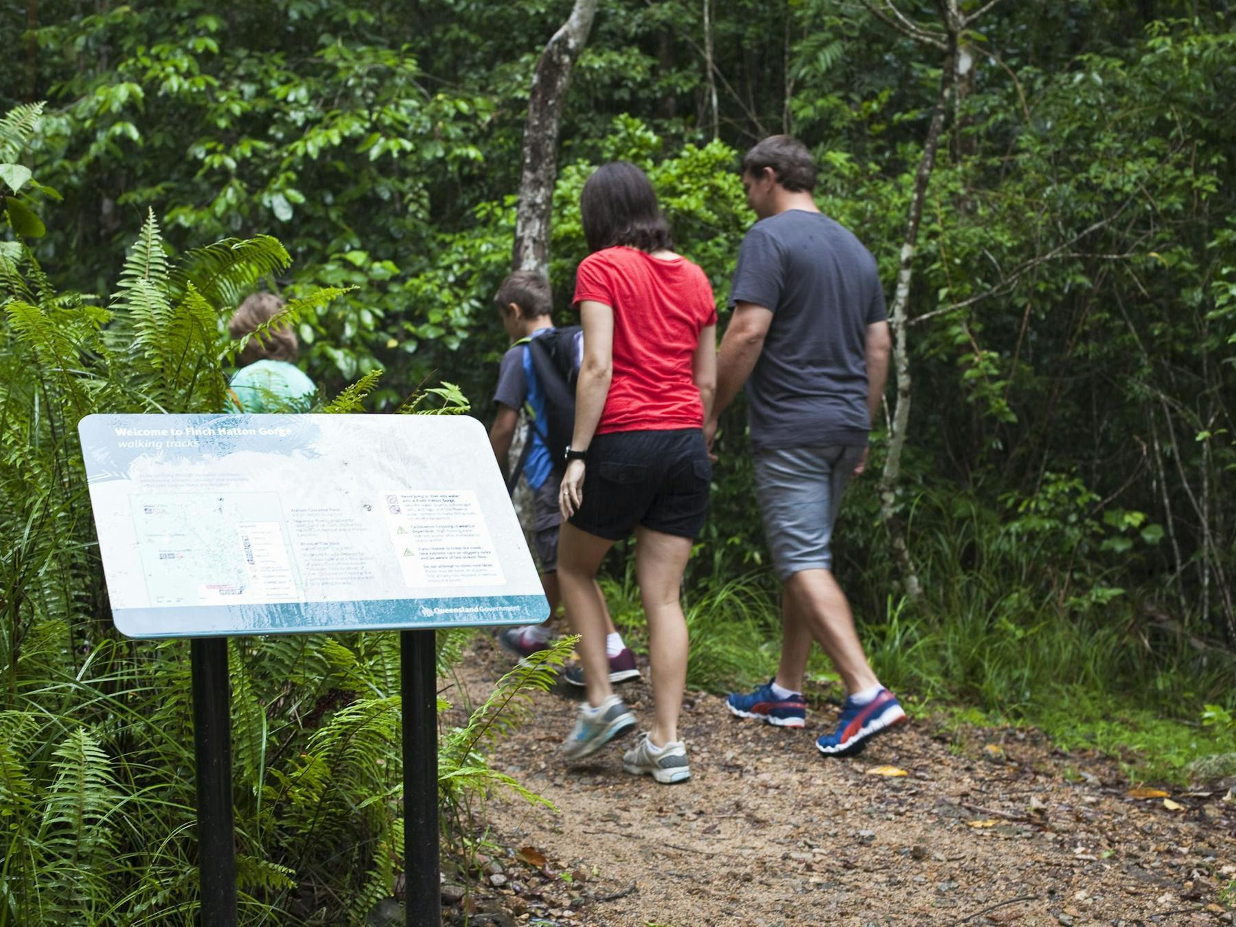 Platypus Viewing at Broken River