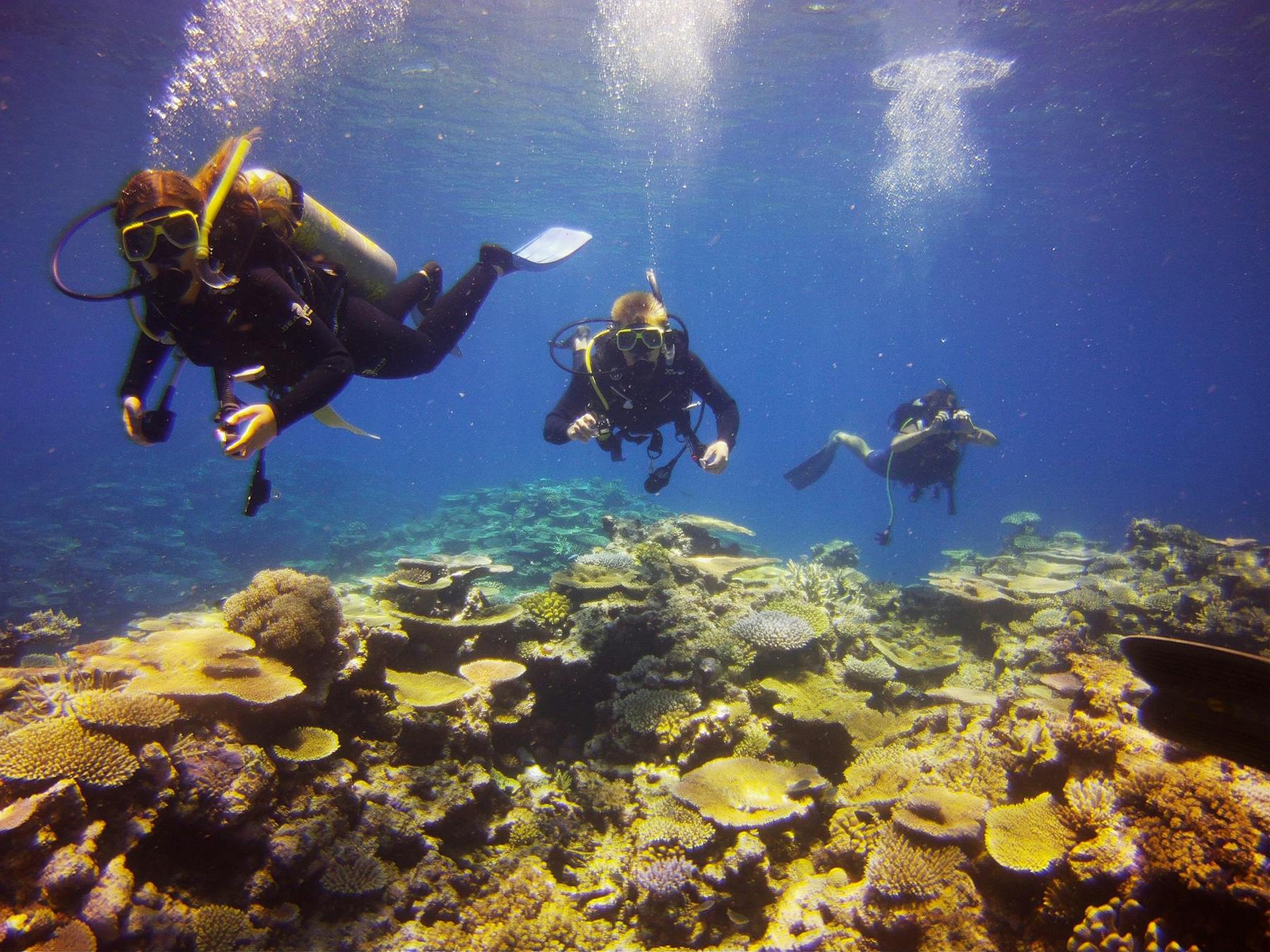 Adrenalin Snorkel and Dive
