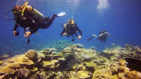 Adrenalin Snorkel and Dive