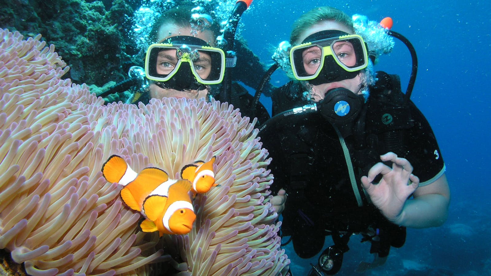 Pro Dive Cairns