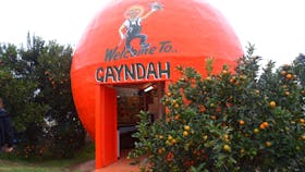 Big Orange Gayndah