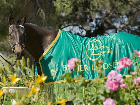 Living Legends: The International Home of Rest for Champion Horses