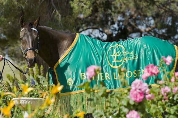 Living Legends: The International Home of Rest for Champion Horses