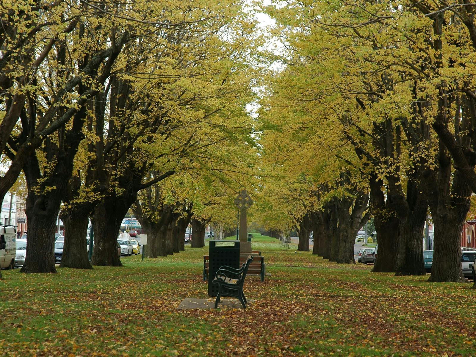 Camperdown