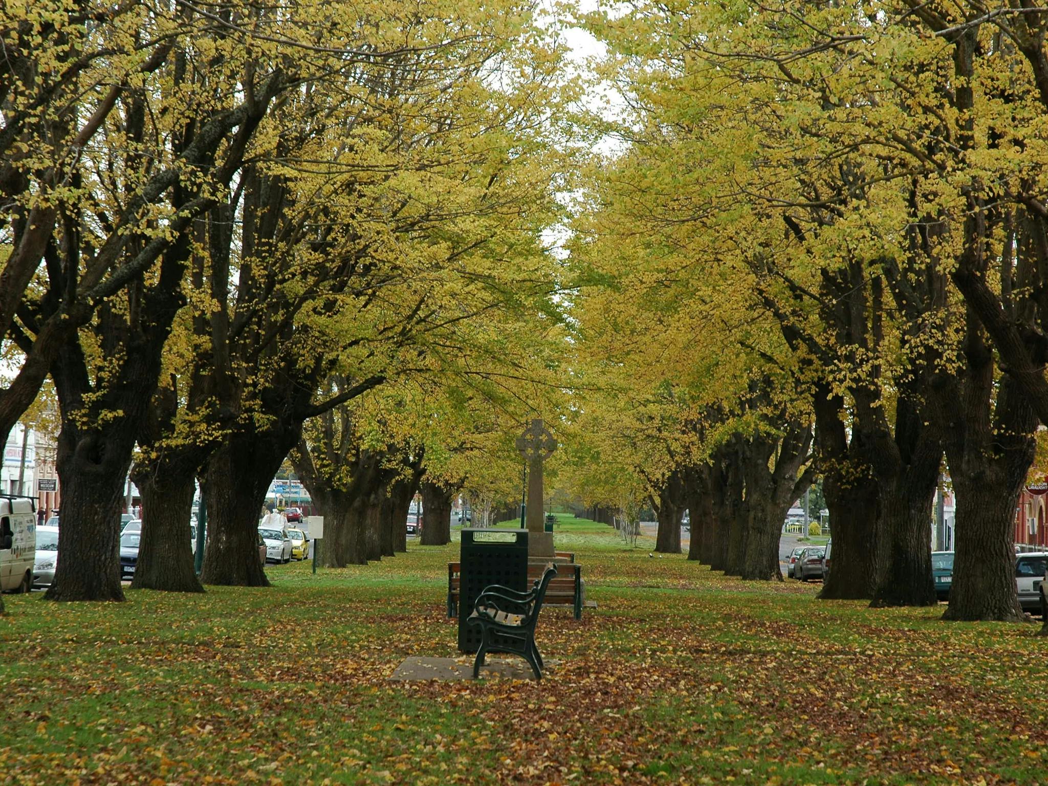 Camperdown