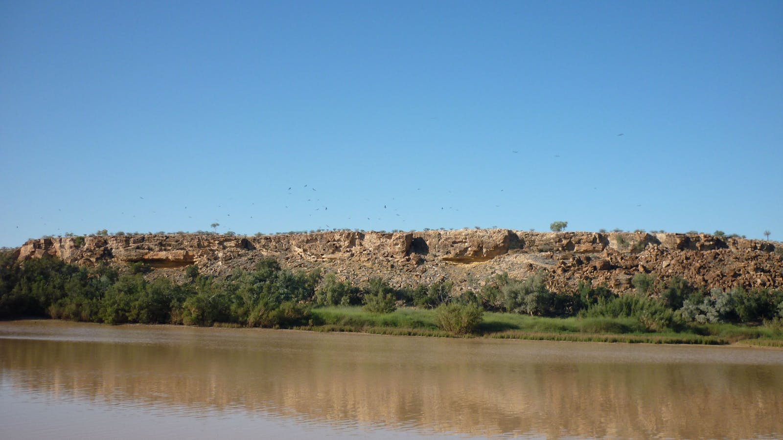 Natural Encounters Trail