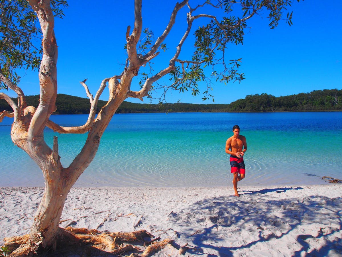 Fraser Island Discovery Fraser Island Discovery