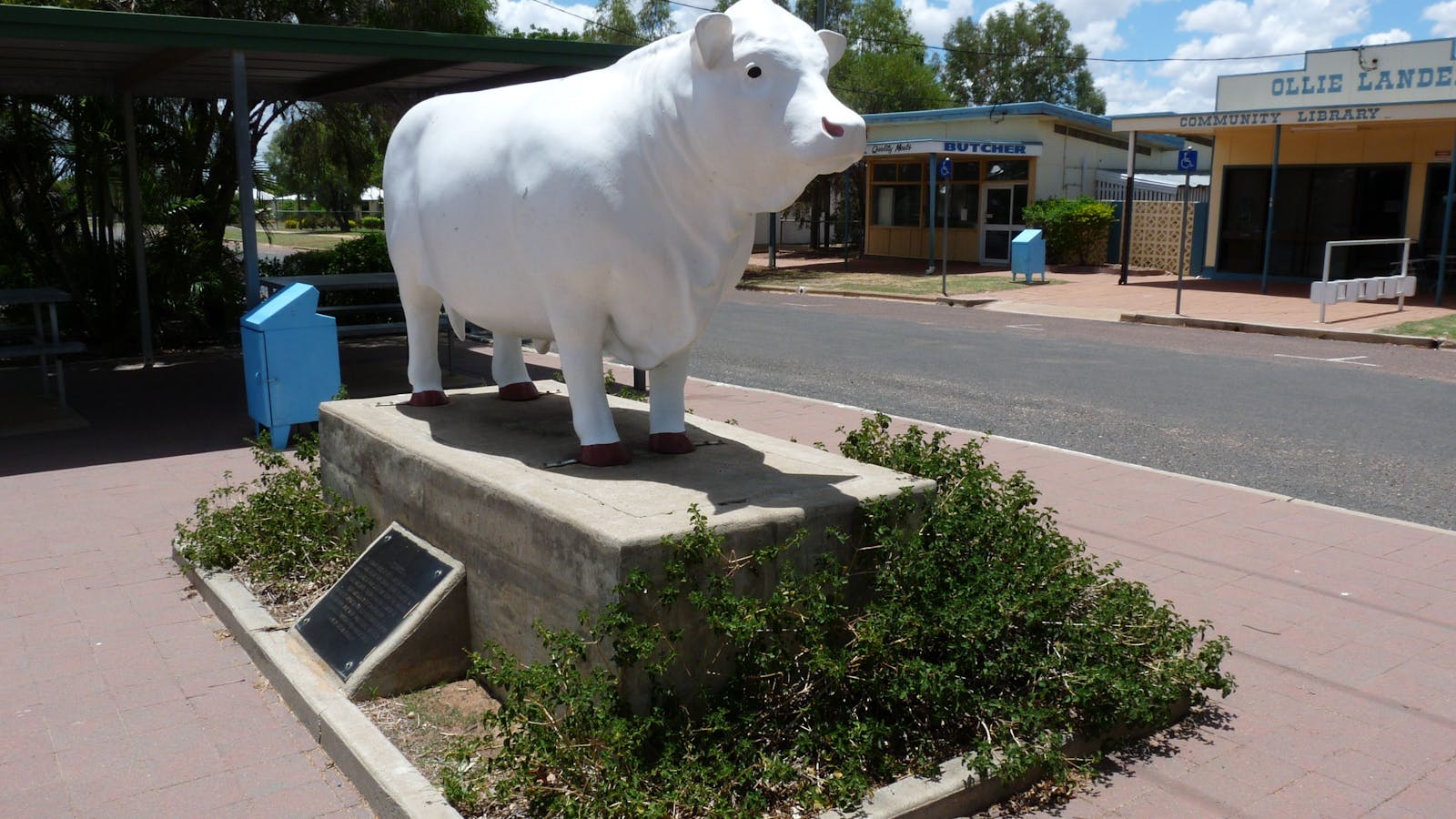 The White Bull