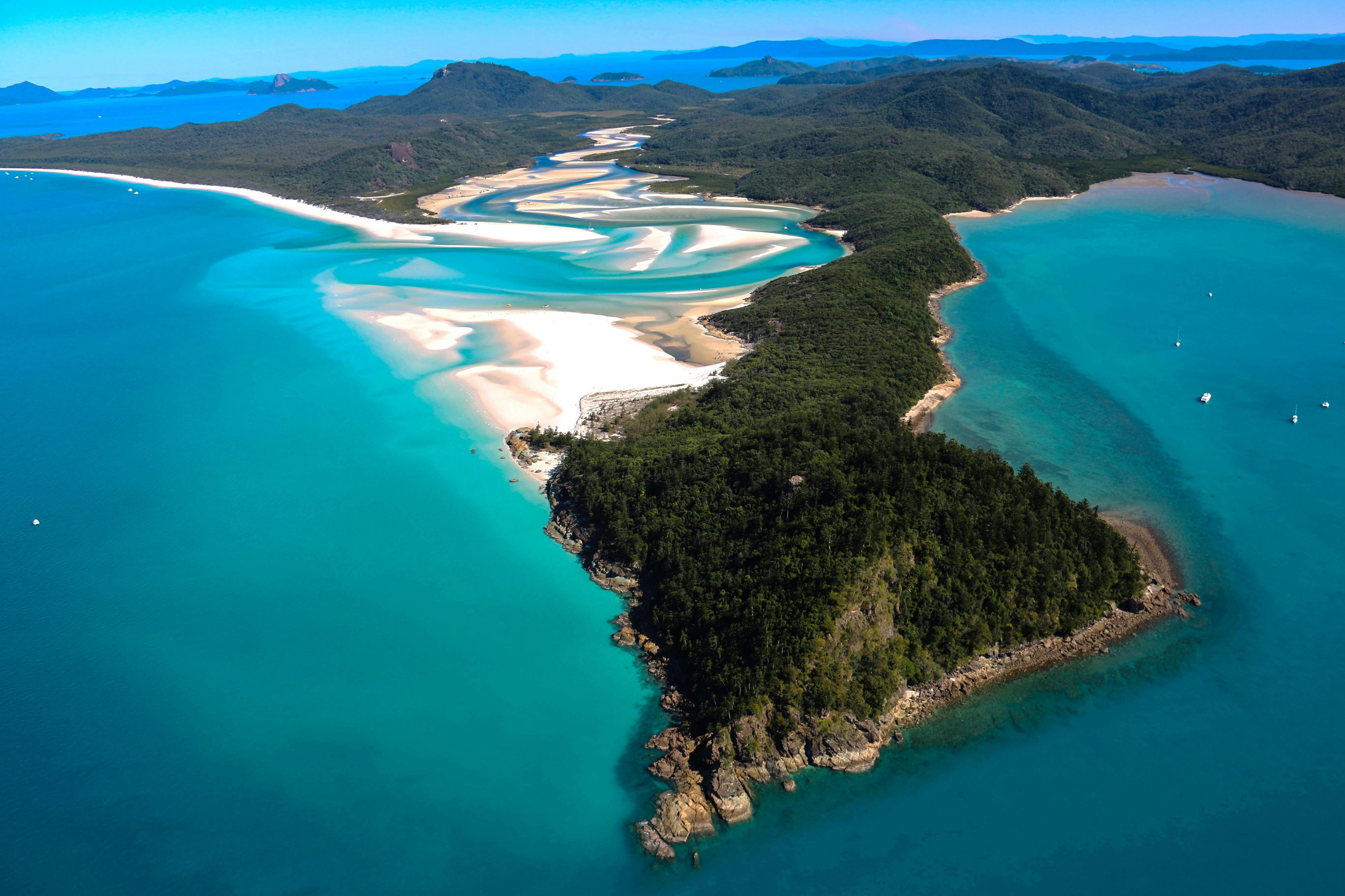 Wonderful Wildlife Island Excursions