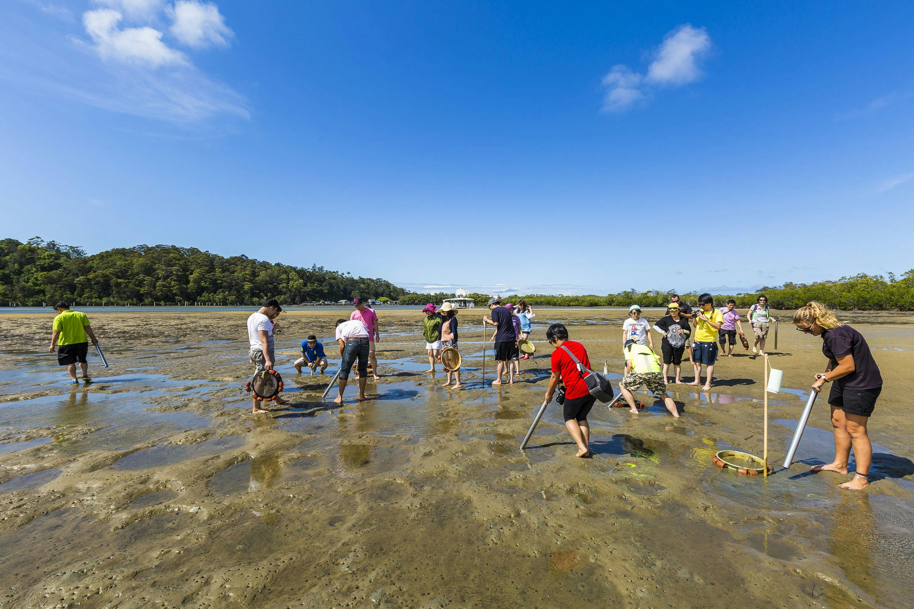 Catch A Crab At Birds Bay Oyster Farm