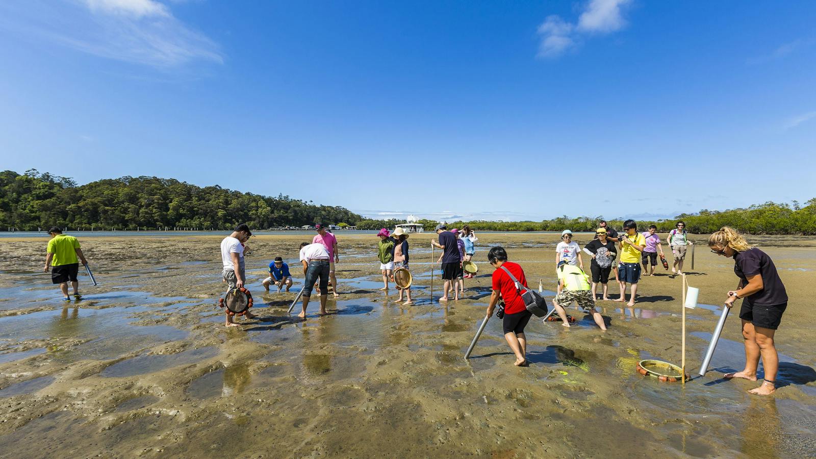 Catch A Crab At Birds Bay Oyster Farm