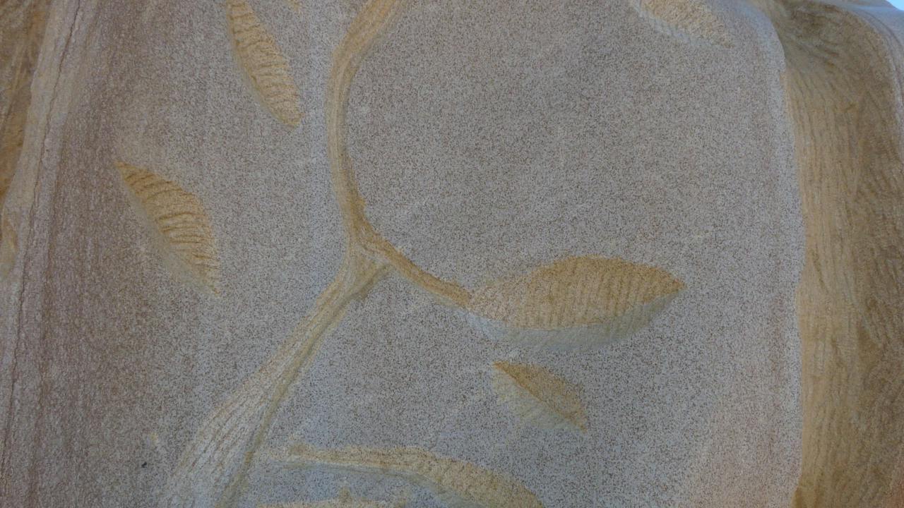 Fossilised Forrest Sculptures