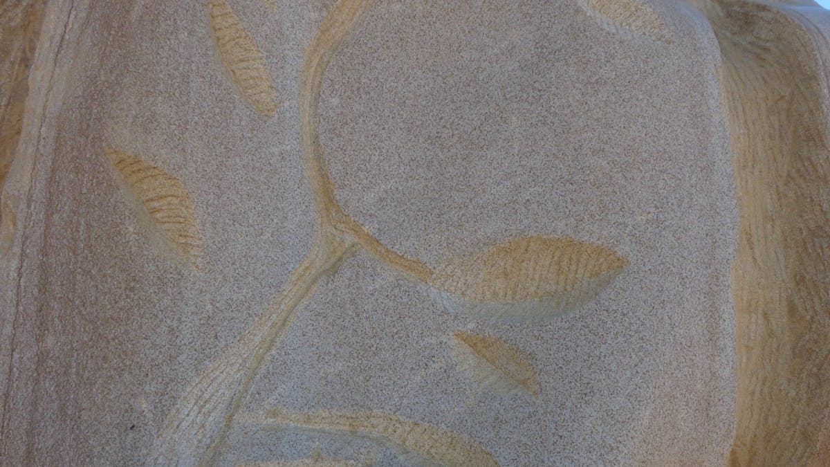Fossilised Forrest Sculptures