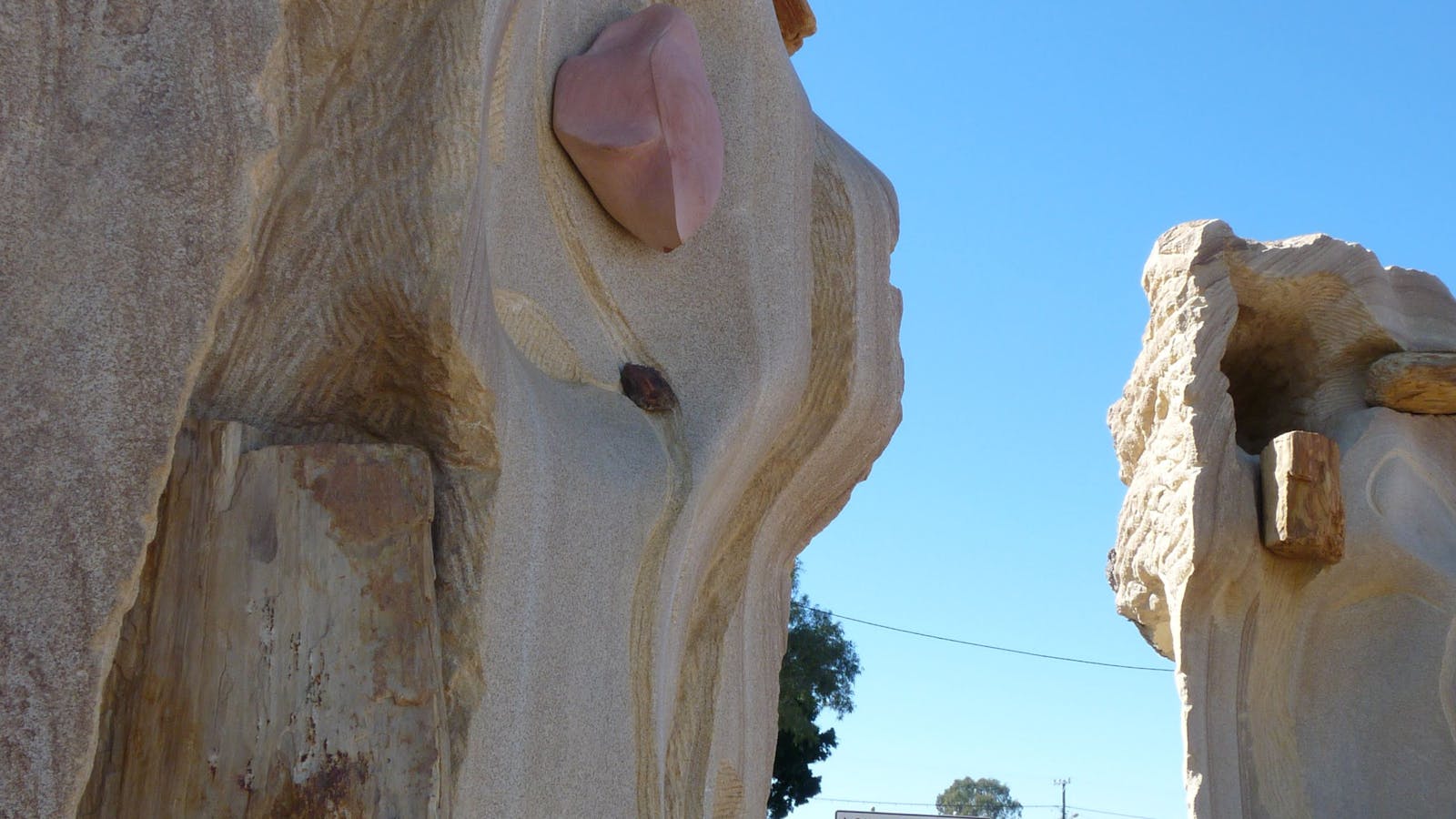 Fossilised Forrest Sculptures