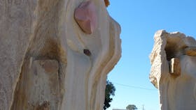 Fossilised Forrest Sculptures