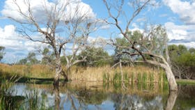 Lagoon Creek
