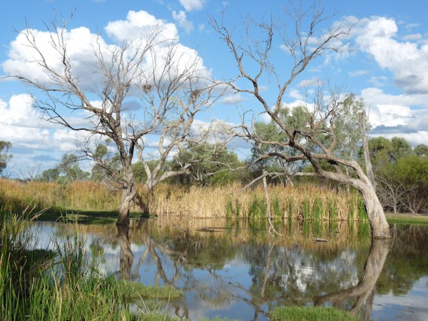 Lagoon Creek