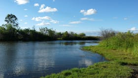 Lagoon Creek