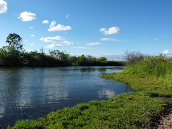 Lagoon Creek