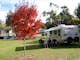 Grassed powered sites