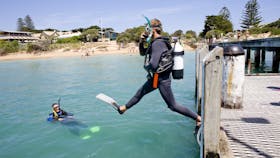 Scuba Diving on the Mornington Peninsula