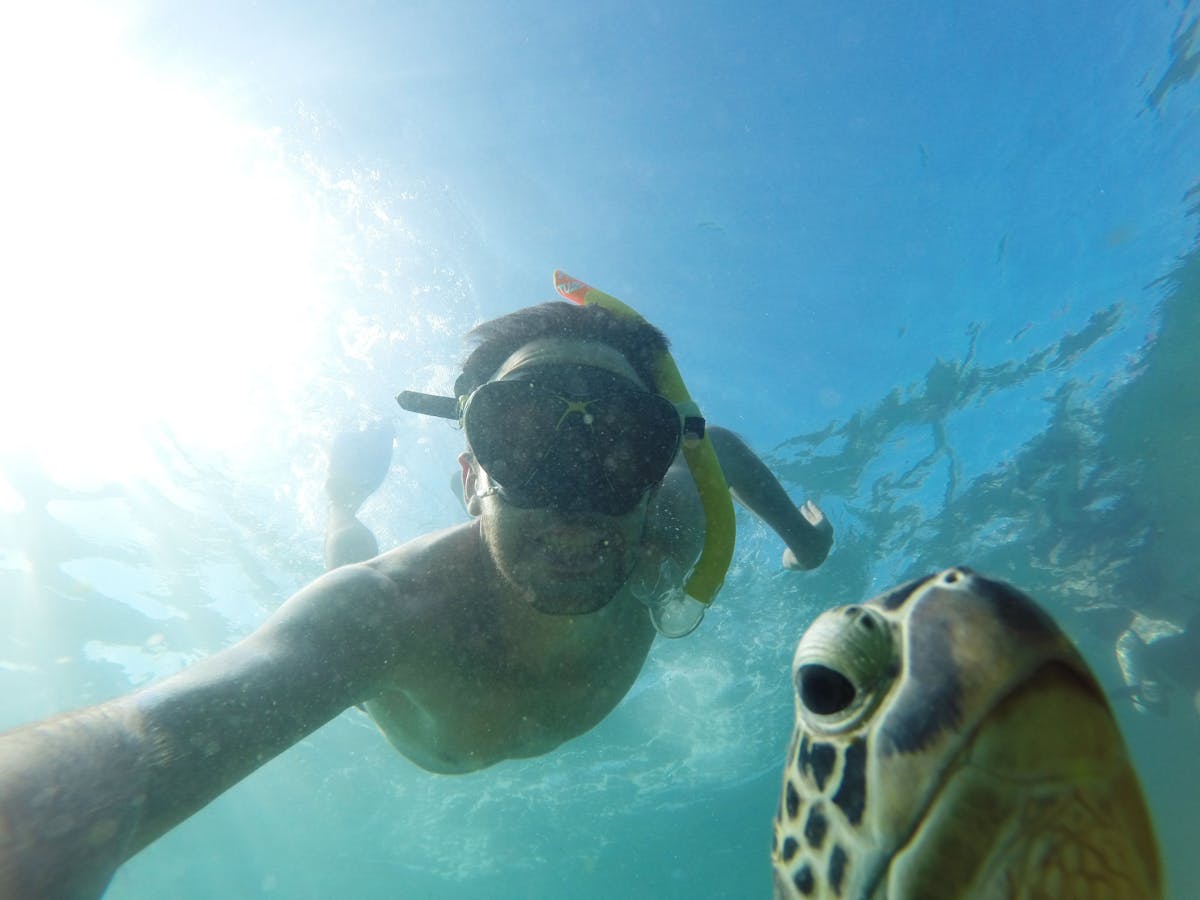 Snorkelling with turtle on Green Island