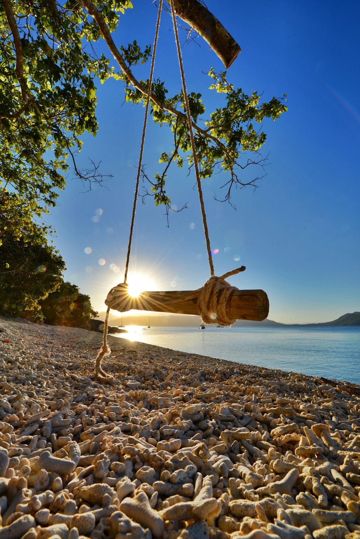 Swinging on Fitzroy Island