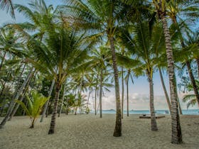Kewarra Beach image