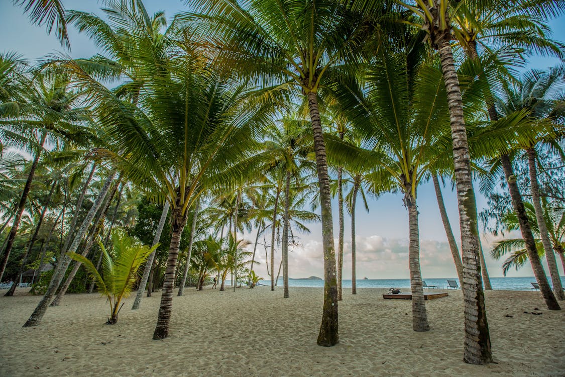 Kewarra Beach | Cairns & Great Barrier Reef