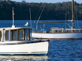 Boats moored at Metung