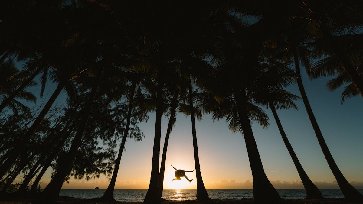Sunrise jumping amongst the palm trees at Palm Cove