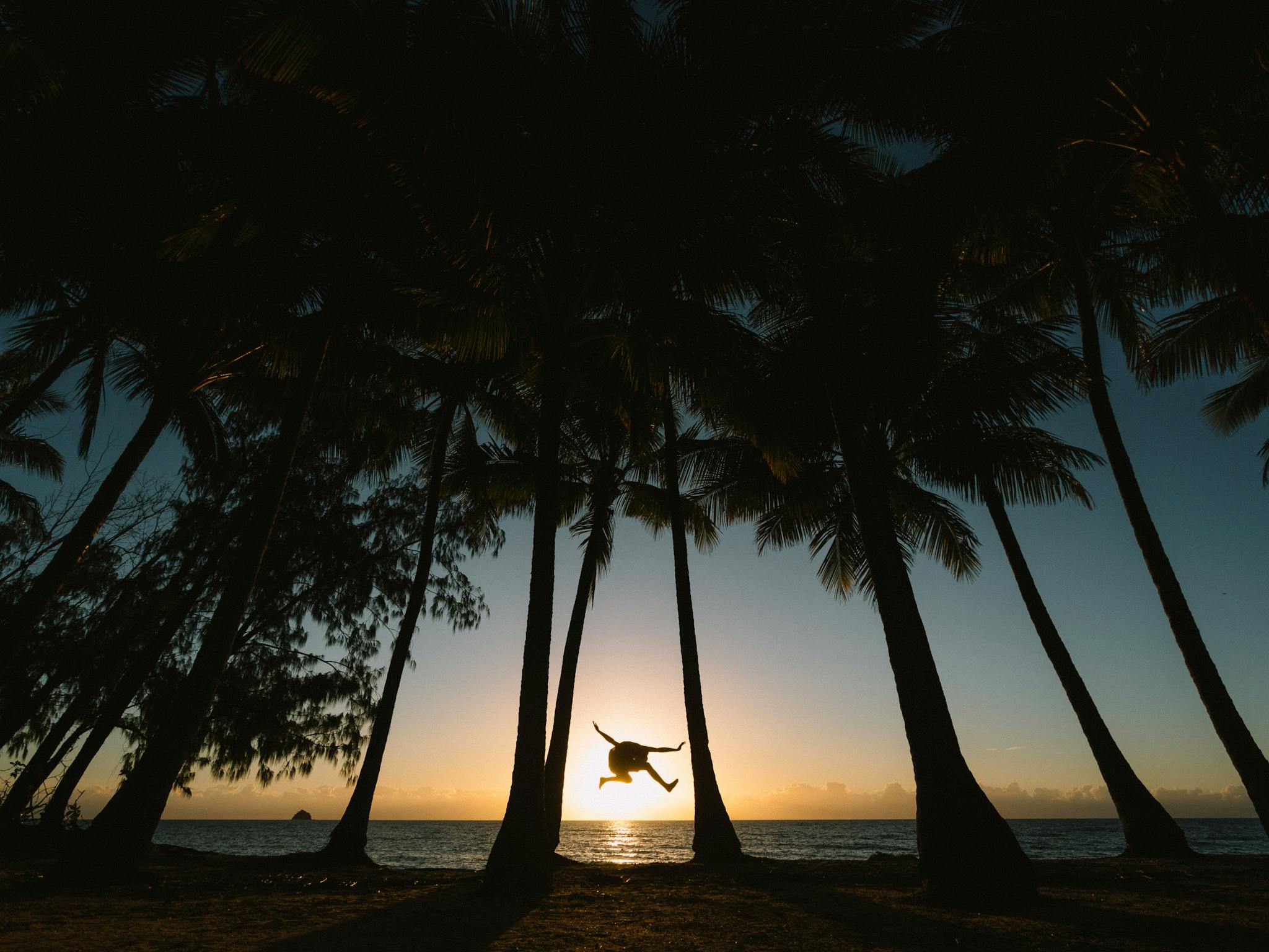 Sunrise jumping amongst the palm trees at Palm Cove