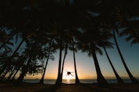 Sunrise jumping amongst the palm trees at Palm Cove