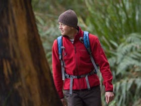 Bushwalking at Wilson's Promontory