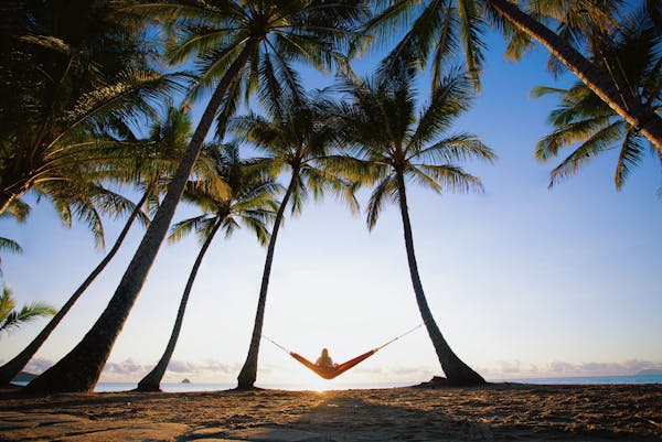 The perfect spot to hang a hammock at Palm Cove