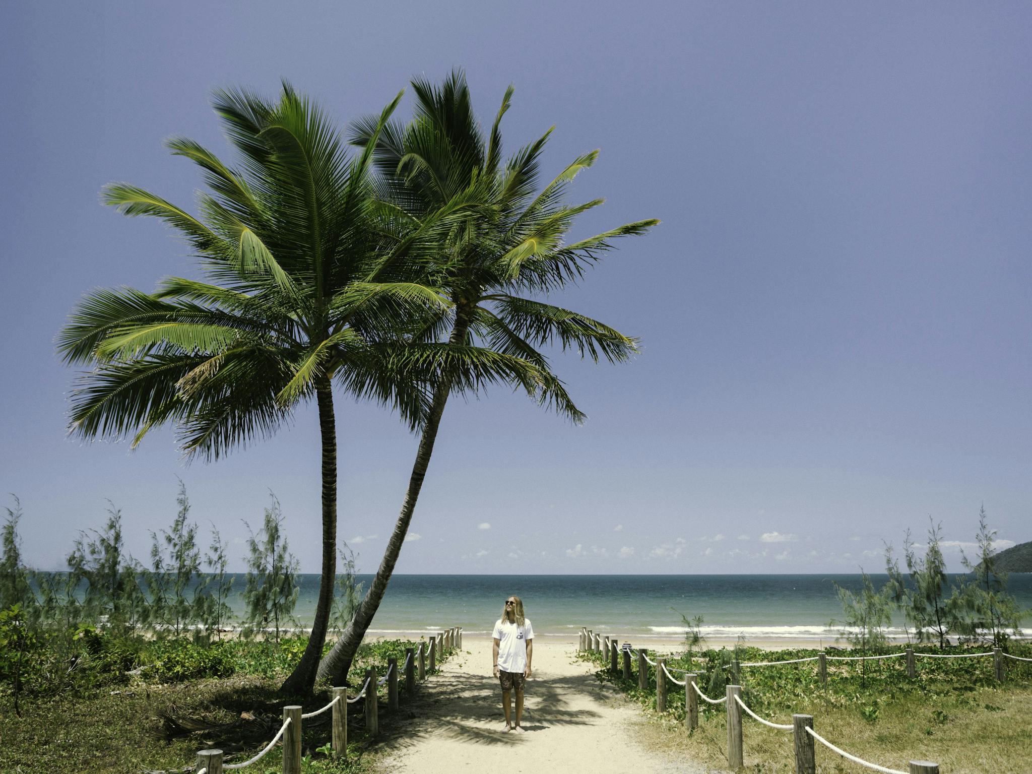 Palm tree perfection at Wongaling south Mission BEach