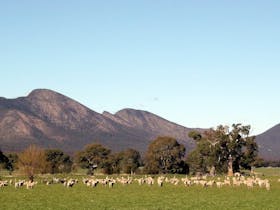 Grampians