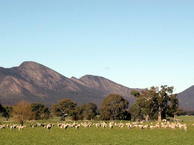 Grampians