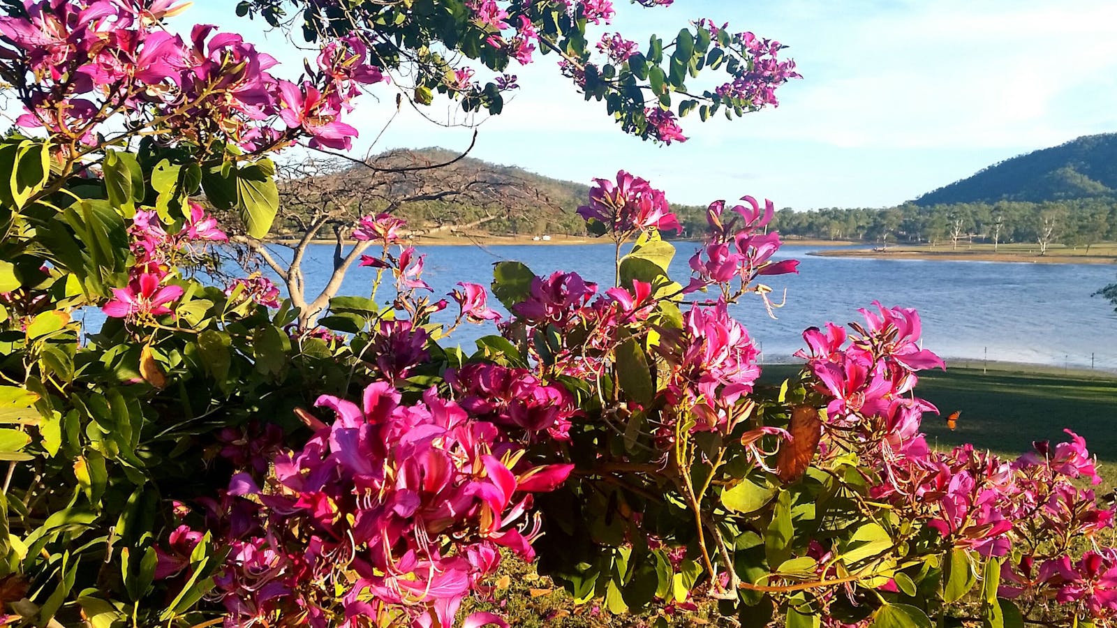 Eungella Dam