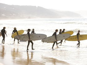 Surfing school Lorne