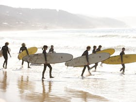 Surfing school Lorne