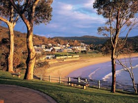 Lorne image