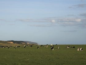 Port Campbell